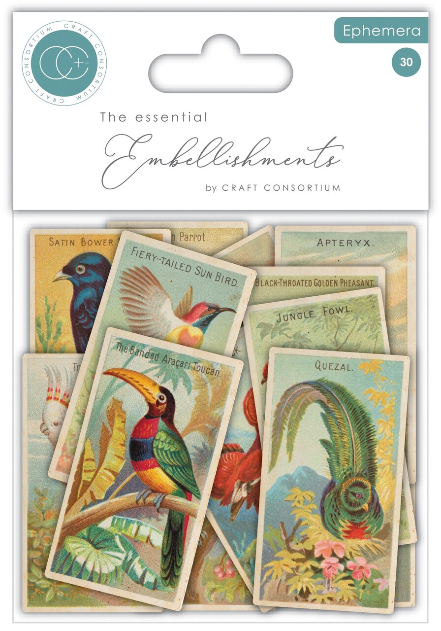 Craft Consortium Ephemera for Crafts, 30pc - Bird Themed Heavyweight Cardstock Cut Outs for Scrapbooking, Card Making, and Mixed Media Projects